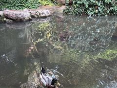 -郑州植物园