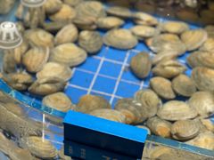 -青蓬蒸汽海鲜·深圳老字号·团建聚会(壹方城店)