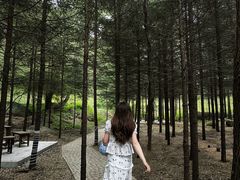 -三块石国家森林公园