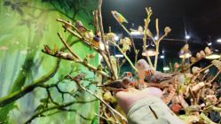 -Zoolung Zoolung动物主题公园(海信广场店)