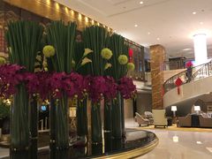 -西安唐隆国际酒店(大雁塔大唐不夜城店)