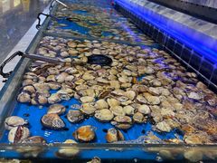 -川骄海鲜自助(河东店)