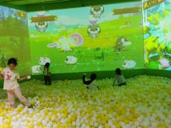 -宝燕乐园(闵行旗舰店)