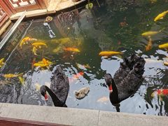 景观位-湖鲜楼