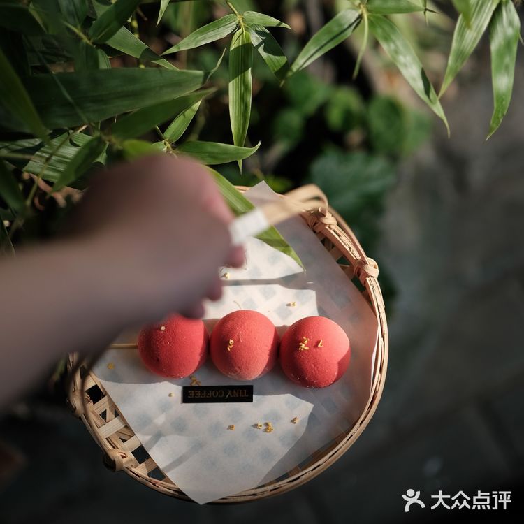 苏州探店|我心中的苏式特调咖啡天花板🥇