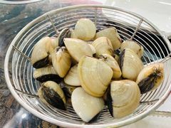-蚝专家