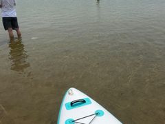 -碧海金沙