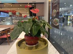 -康师傅私房牛肉面(申虹店)