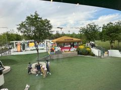 -爪吧宠物乐园 (温榆河示范区店)