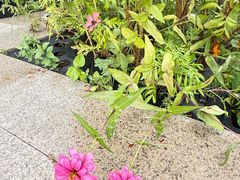 -好利来(亦庄国融店)