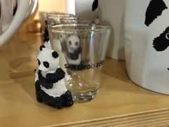 -圣地亚哥动物园