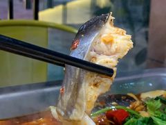 -黑猫馋纸包鱼(阳光店)