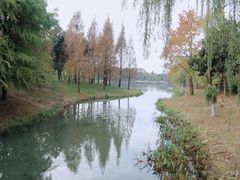 -尚贤河湿地