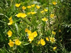 -白草畔自然风景区