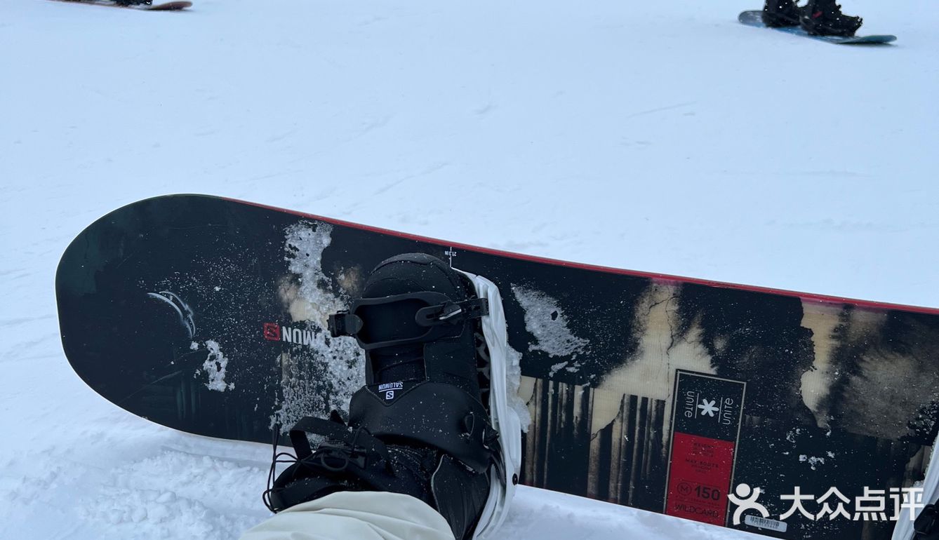 长白山旅行日记2❄️柏悦的阿拉斯加