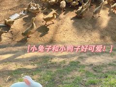 -盈香心动乐园