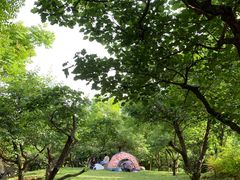 -清凉山国家森林公园