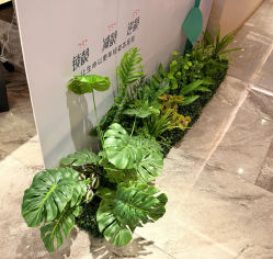 -香榭丽舍·海菲秀·皮肤管理痘敏肌修护