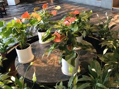 -大鸭梨烤鸭(枣园店)