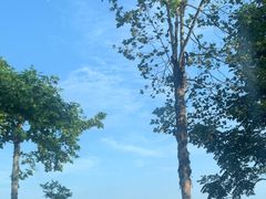 -苏稽周村吉利跷脚牛肉