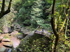 -碧峰峡风景区
