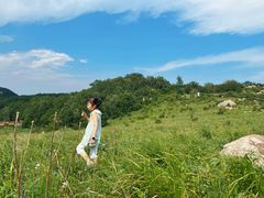 -白草畔自然风景区