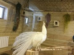 -洛阳龙门海洋馆