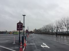 -迪士尼乐园停车场