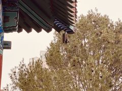 -大钟寺古钟博物馆