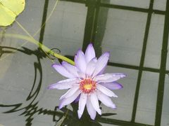 -香山公园