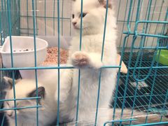 -宁波国际会展中心