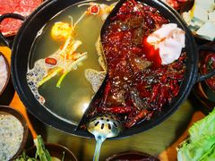 -阳阳老火锅(小南门店)