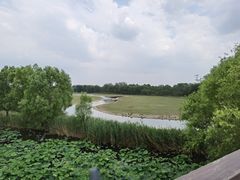-北京麋鹿生态实验中心