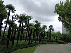 -黄兴公园