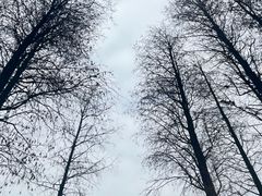 -四海公园(南山区)