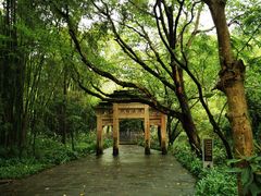 -峨眉山风景名胜区