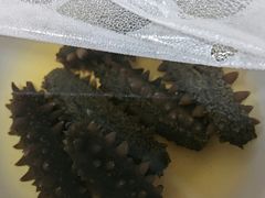 -大连双兴商品城