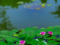 -国家植物园南园