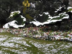 -西湖外事游船(花港观鱼码头)