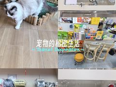 -唐小姐の私宠·宠物洗护美容·撸猫馆·购宠(周浦万达旗舰店)