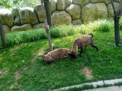 -北京野生动物园