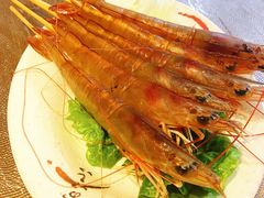 活虾-金海阁海鲜火锅