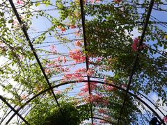 -The Grounds of Alexandria