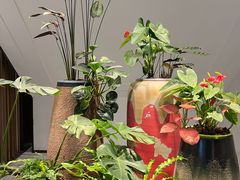 -西湖春天•老字号杭州菜(百汇店)