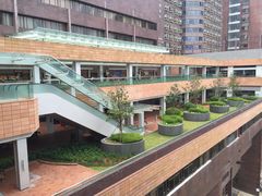-香港大学