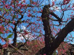 -象头山国家级自然保护区