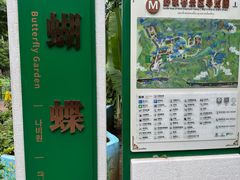 -野象谷景区