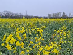 -汉长安城未央宫国家考古遗址公园
