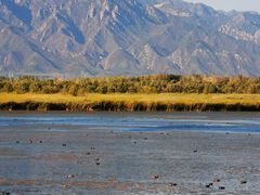 -野鸭湖国家湿地公园