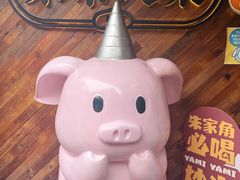 -COMPANION COFFEE小伴咖啡